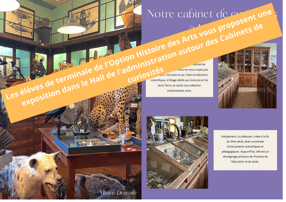 Les eleves de terminale de lOption Histoire des Arts vous proposent une exposition dans le Hall de ladministration autour des Cabinets de curiosites